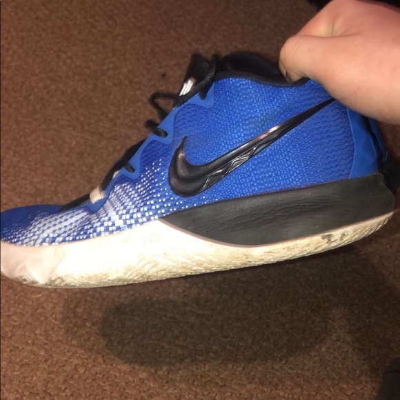 Kyrie flytrap - Picture 2 of 4